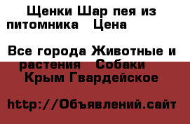 Щенки Шар пея из питомника › Цена ­ 25 000 - Все города Животные и растения » Собаки   . Крым,Гвардейское